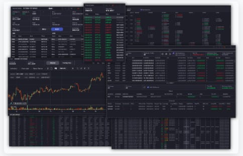 Original Tradelize Investment Portal Interface